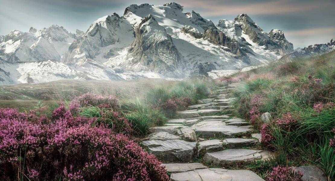 Référencement naturel: atteindre la première page de Google
