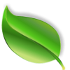 Espaces Élagage 56